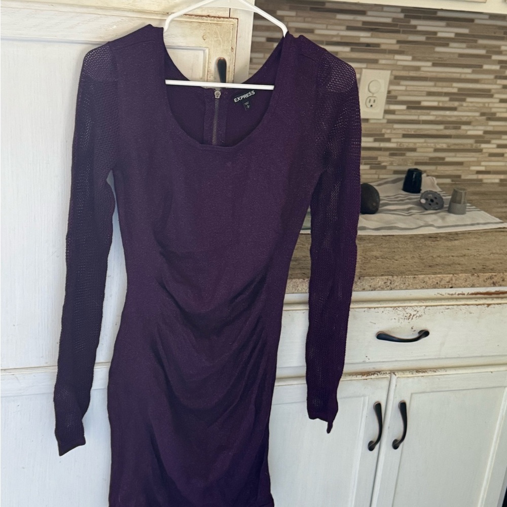 Express Deep Purple Long Sleeve Dress